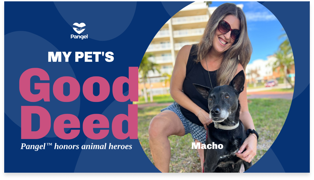 Macho, our featured pet hero