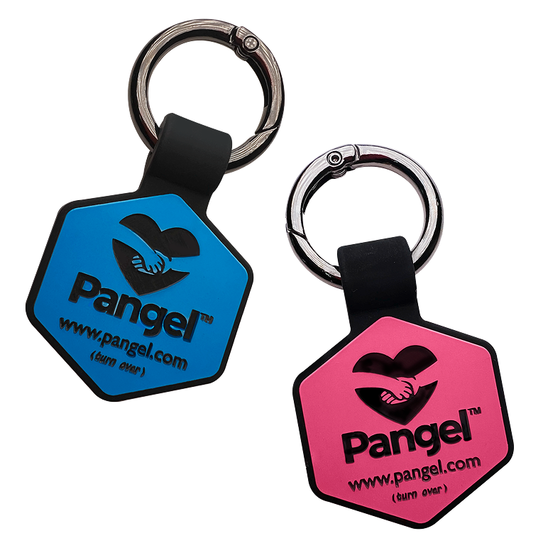 A Pangel QR code pet tag on a collar